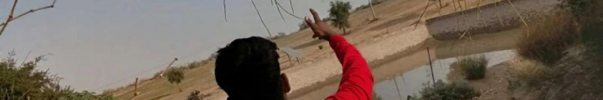 albaditabr73