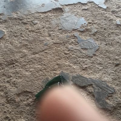 111708861447207154341 