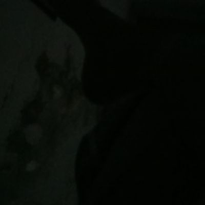 111500933782006602499 