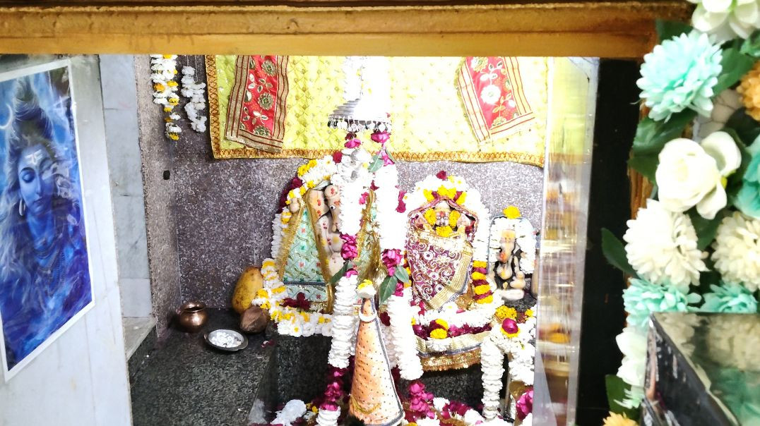 ⁣Shivratri ke dharshan kankroli mahadev mandir 🥰🌹#viral #vlogs