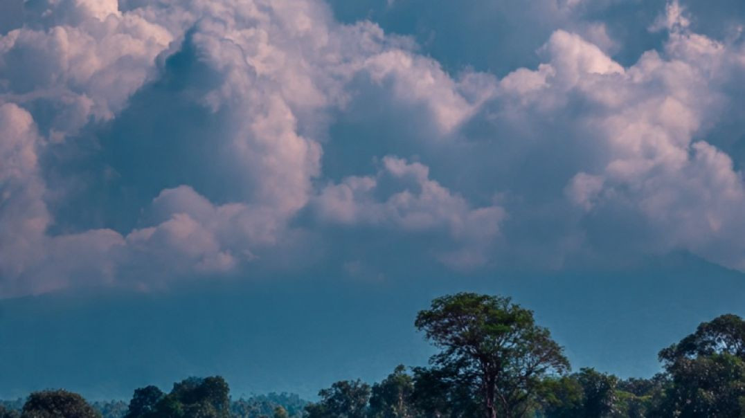 ⁣videoplayback (1)