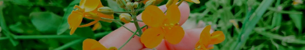 112448500744746404957 