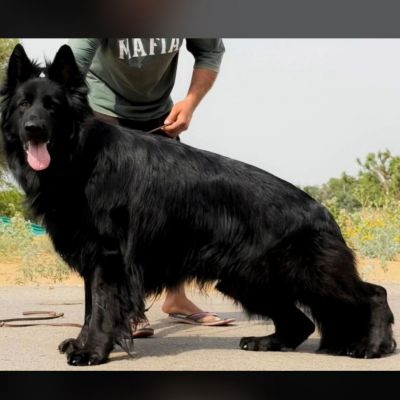 117433193468124440158 