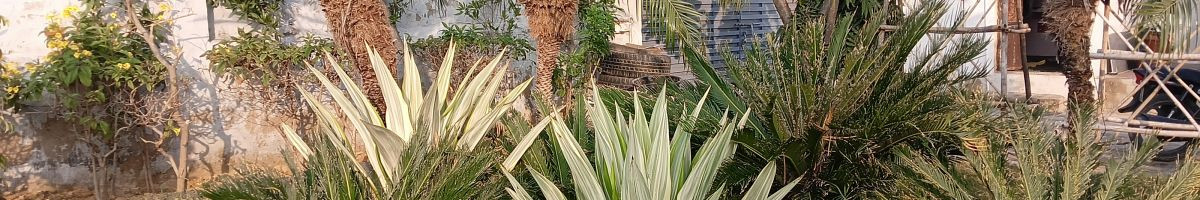 102893765834543348869 