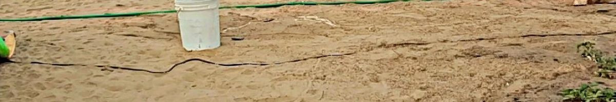 Mission_2050 Mission_2050