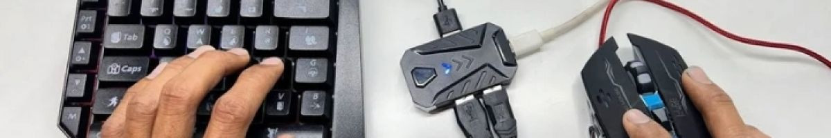 Gamer 