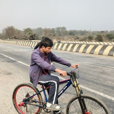 101360085381168086515 