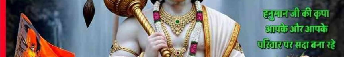 117612730368046418753 