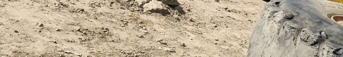 105191338022169872552 