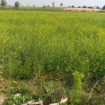 112718467331590360652 