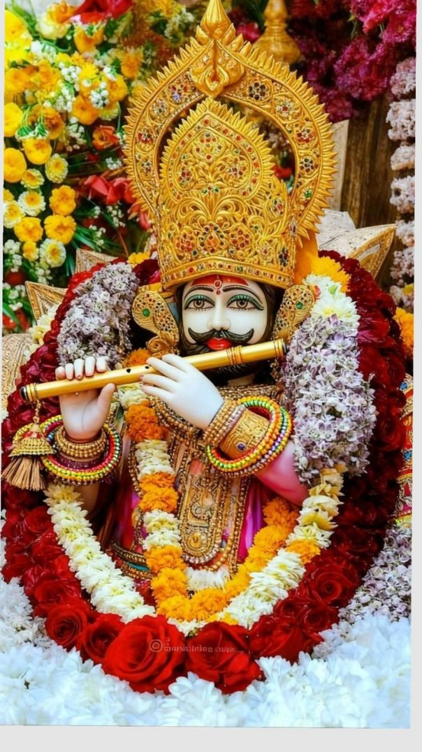 instagram_1770521663177