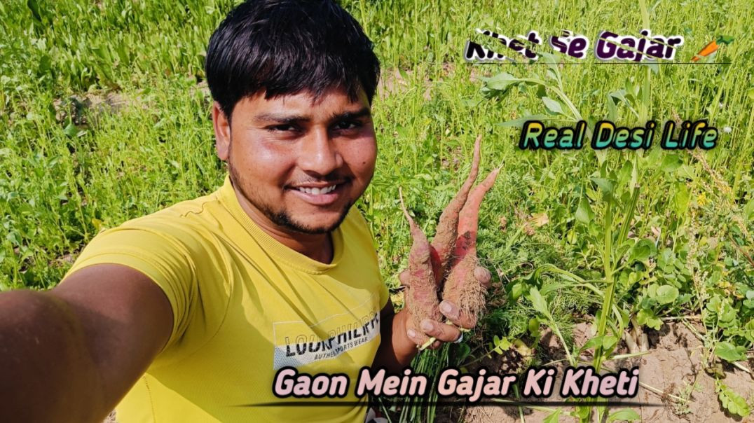 ⁣Gaon Mein Gajar Ki Kheti | Full Process Desi Vlog