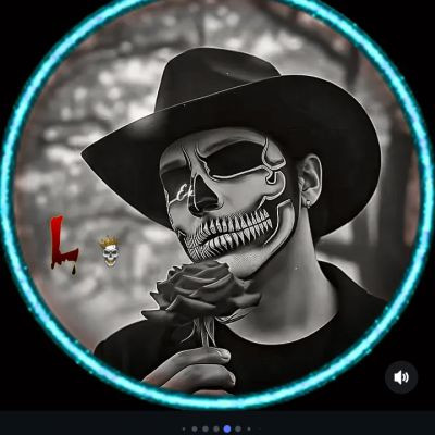 117861498634495683752