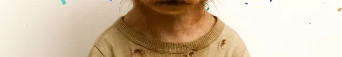 Ani_mahal_2 Ani_mahal_2