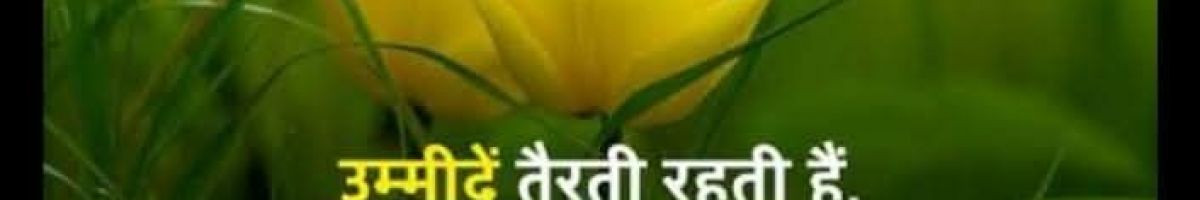 Prakashkayda