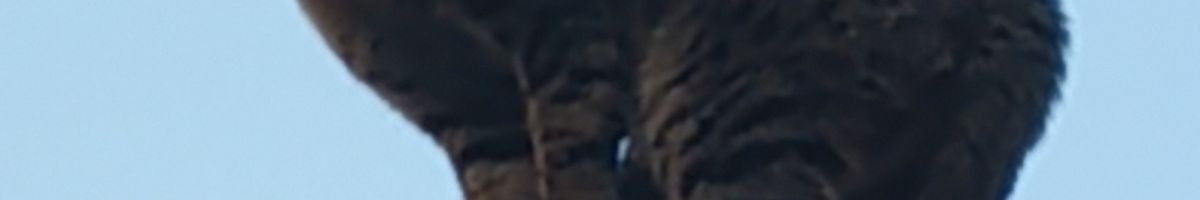 104707421570855468407 