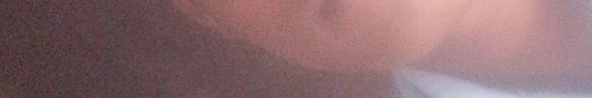 116451235229609004325 