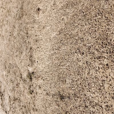 114545226242090239484 