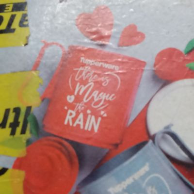 116417132472905097300 