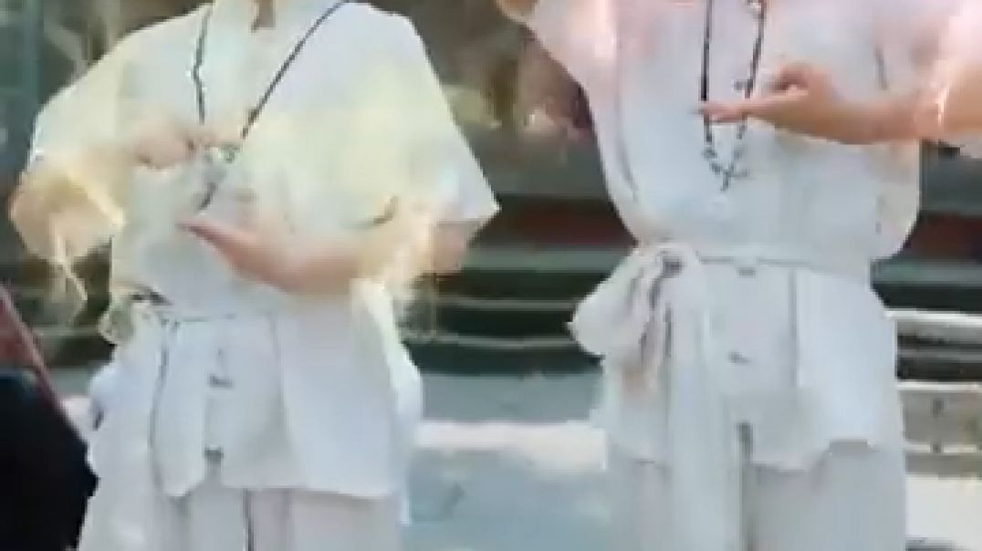 सुपरकुंगफू जुड़वाँः पहाड़ से उतरे, माँ को बचा कर सीईओ पिता से मिले !