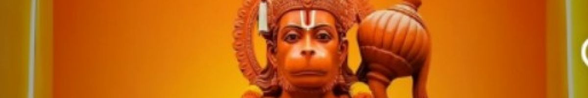 balajisarkarsalasar