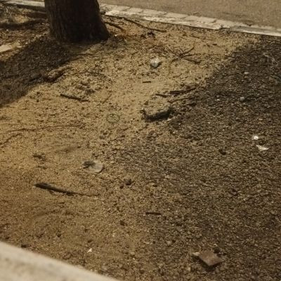 106092063733426028096 