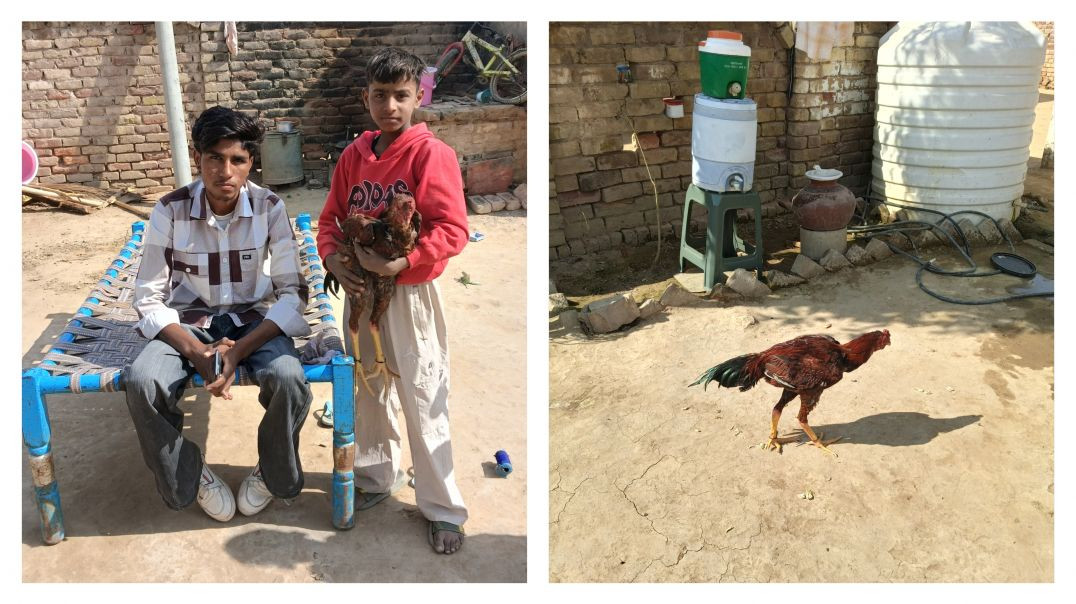 ⁣Aaj hum Lalu ki Nani ke Ghar chle gye 😝