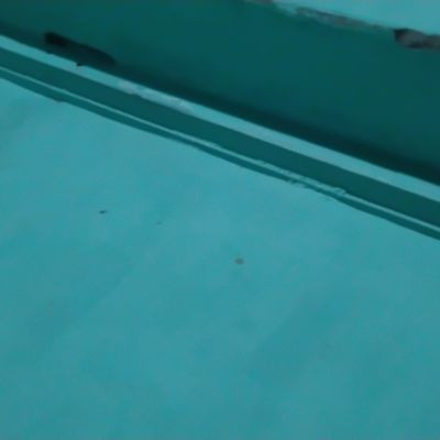 109463702011990513183 