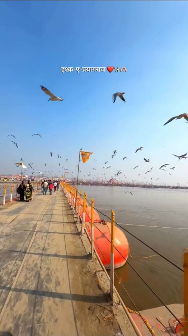 VID_20260124_203019_118