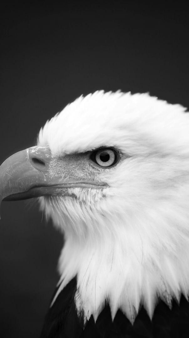 Khate mein balance nahin#trending