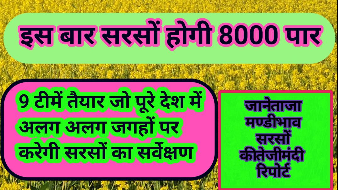 ⁣सरसों की दैनिक रिपोर्ट और ताजा मण्डी भाव । Sarso bhav