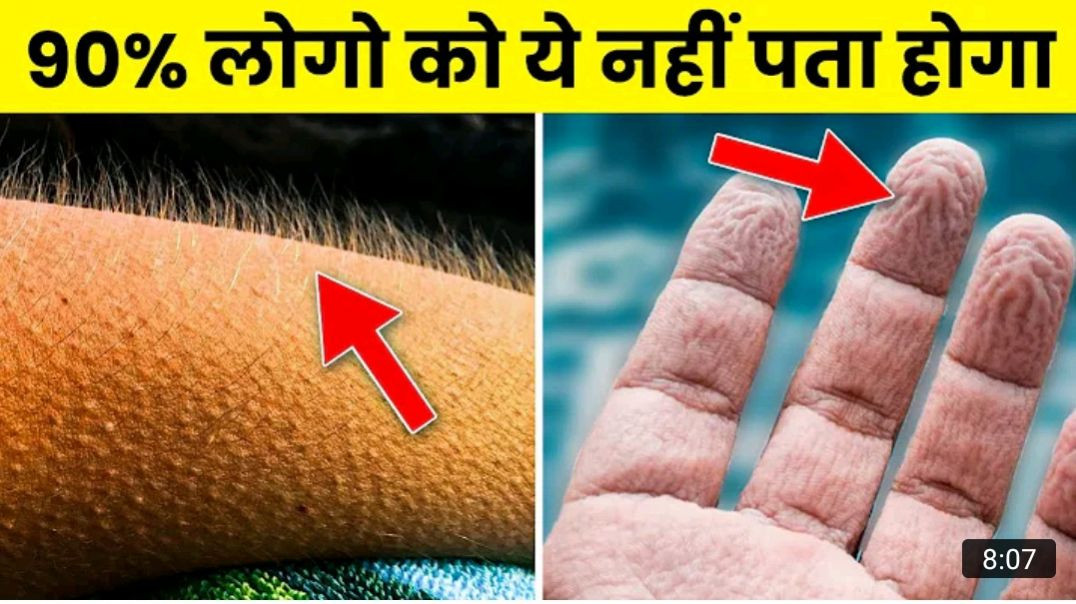 शरीर_से_जुड़े_ये_फैक्ट_आपके_होश_उड़ा_देंगे___Amazing_Facts_About_the_Human_Body___Rewirs_Facts_MP4_720