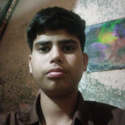 102018440462978467905 