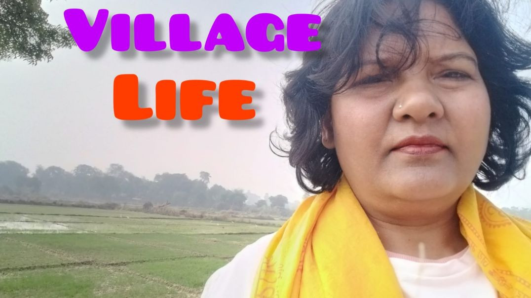 ⁣Village Vlog 🛖🌴#newvlog#viralvlog#trendingvlog#apanayoutubvlog#villagevlog#vlogvideo#pleasespot#likesuscribmychannal#necheral#🤣🤣.