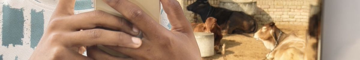 109779832231115018112 