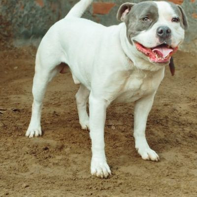 100721986927617222293