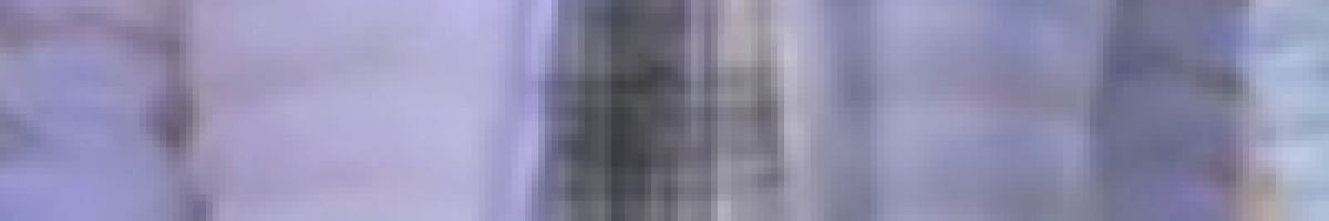 prajapati_rj18_rajsthan_001 prajapati_rj18_rajsthan_001