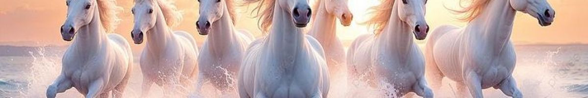 ravi_mashal