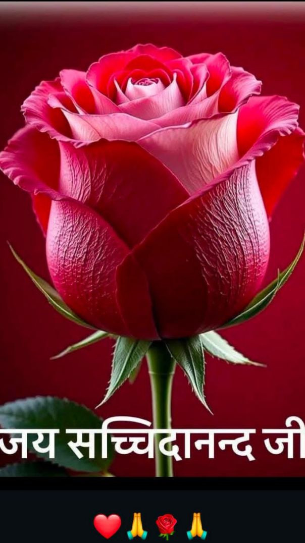 बच्ची का गज़ब डांस