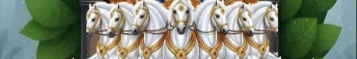 109695765672334693266 