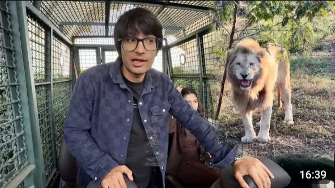 ⁣Lion Hamare Paas Aagya😯😯😯