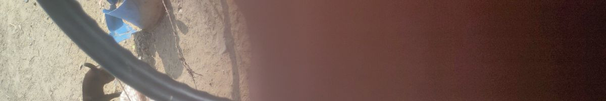 110188907979724982750 