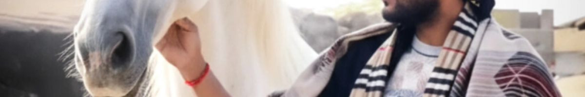 105420399934158150447 