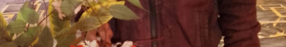 104334054859803685728 