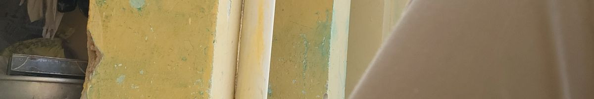 110726375328380792202 