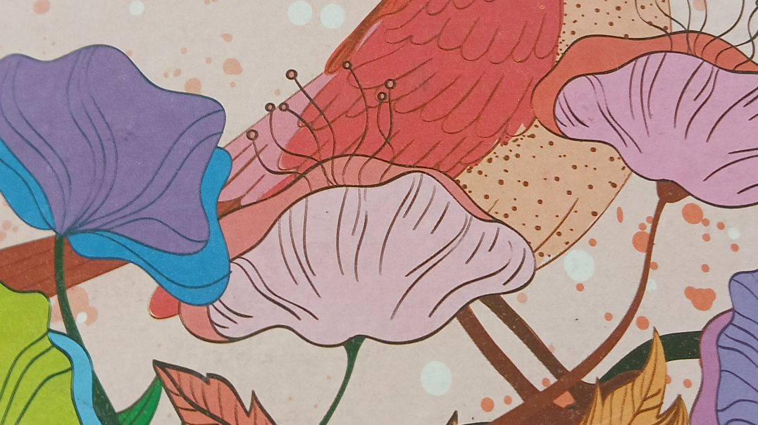 ⁣हिंदी की कविता(चढ़े हिमालय की चोटी पर)