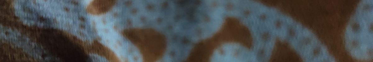 101361426393282503527 