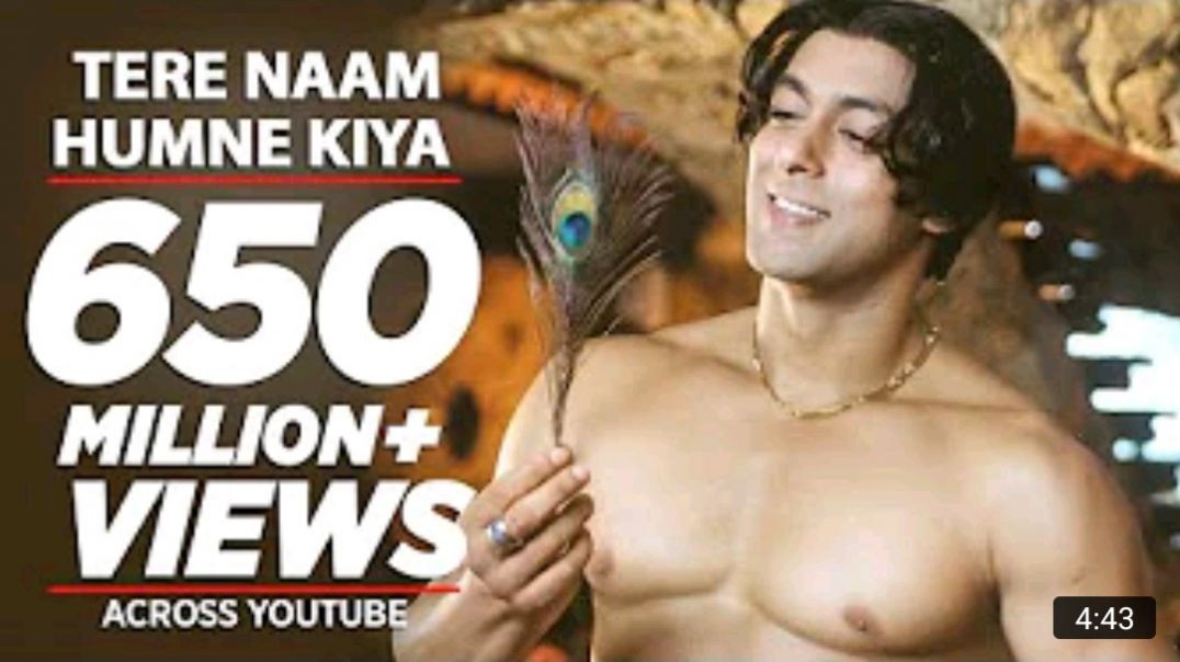Tere_Naam_Humne_Kiya_Hai_Full_Song___Tere_Naam___Salman_Khan___Udit_Narayan,_Himesh_Reshammiya_MP4_7