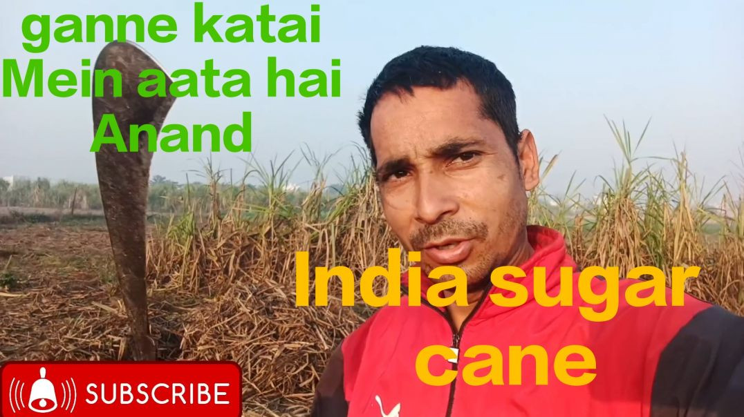 ⁣Mere gaon ka Chhota vlog, 🇮🇳🇮🇳🇮🇳