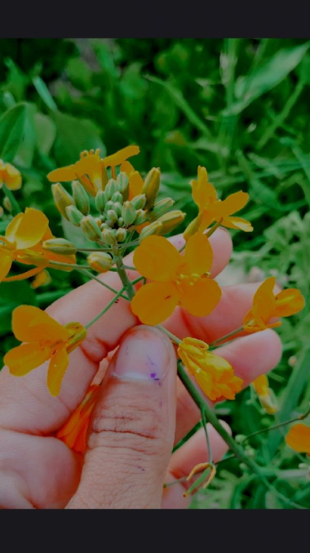 My  First Vlog 🤩♥️